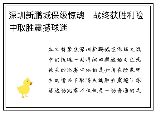 深圳新鹏城保级惊魂一战终获胜利险中取胜震撼球迷